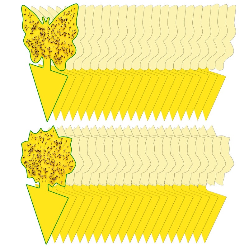 Dwcom Trap 40 Pack Fungus Gnat Traps for House Indoor, Fungus Traps Fruit Fly Traps for Indoors Gnats Sticky Traps for Plants Yellow Sticky Traps for Gnats - Image 1
